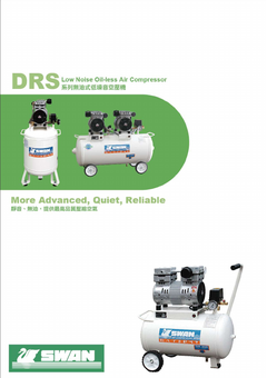 DRS Series.pdf